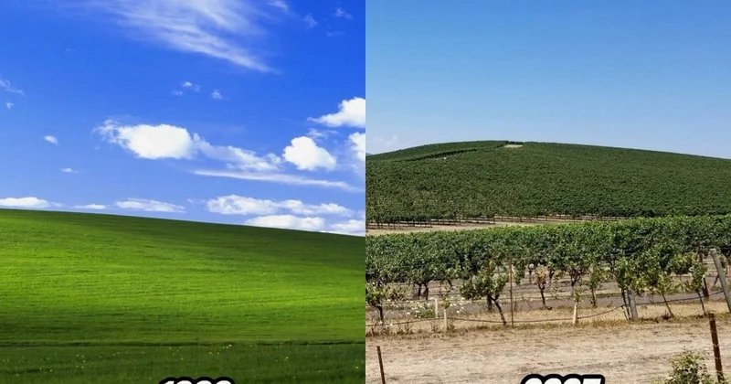 Windows XP dəki məşhur təpə əvvəlki görünüşünü itirdi