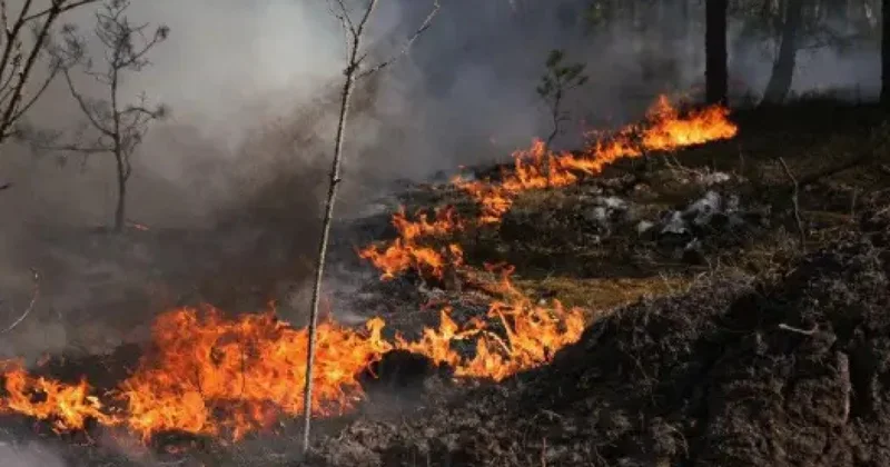 Крупный пожар в Чернобыльской зоне ВИДЕО
