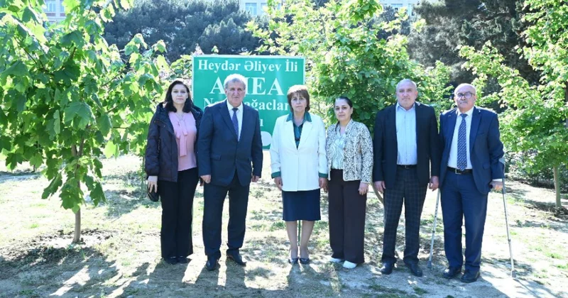 Nadir ağaclar parkının ərazisində müxtəlif növ ağac tingləri və gül kolları əkilib