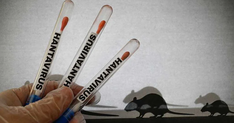 Dünyada narahatlığa səbəb olan hantavirusa ölkəmizdə yoluxan var? RƏSMİ AÇIQLAMA