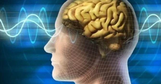 Dərin narkoz zamanı beyin hələ də məlumatı emal edə bilir