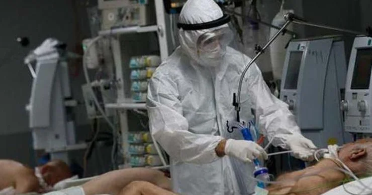 İndi də hantavirus : təhlükə varmı?