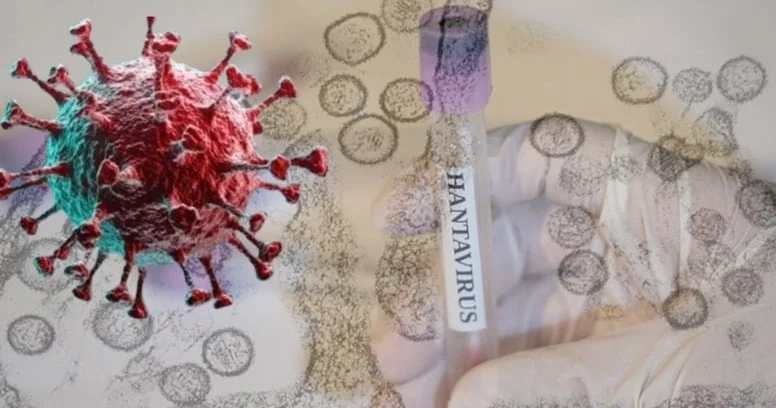 Hantavirus daha bir ölkəyə yayıldı