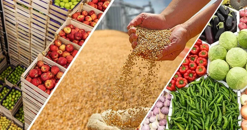 ООН: Мировые цены на продовольствие достигли трехлетнего максимума
