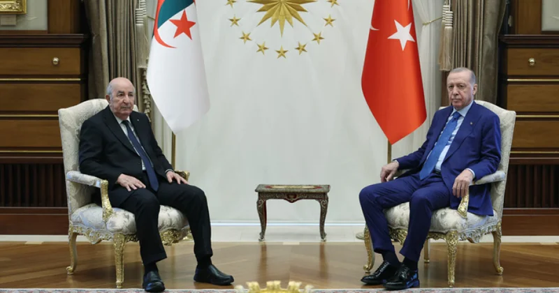 Ərdoğan: Türkiyə enerji sektorunda Əlcəzairlə uzunmüddətli əməkdaşlığa hazırdır