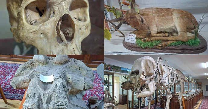 Yeni muzeydə bu eksponatlar yer ala bilər FOTOLAR