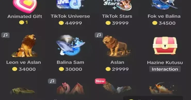 “Pulumuzu TikTok da xərcləyib, hamıya şir atırmış” MƏHKƏMƏ