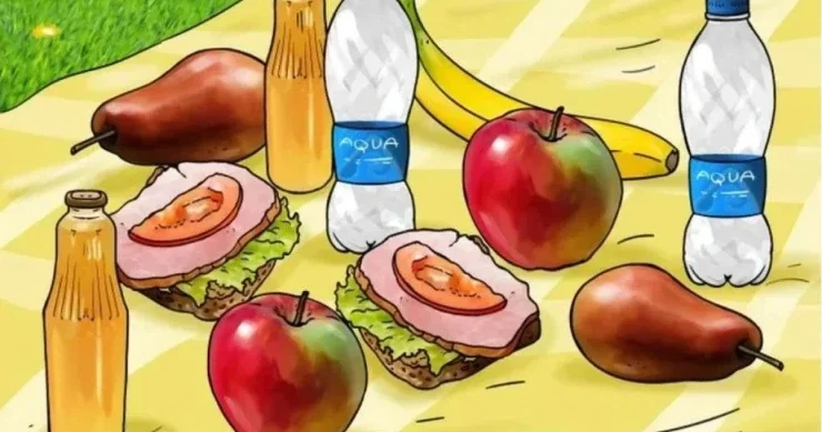 Mürəkkəb TAPMACA: təxmin edin, bu piknikdə nə səhvdir?