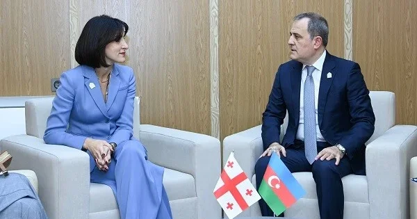 Bayramov gürcü həmkarı ilə nələri müzakirə etdi?