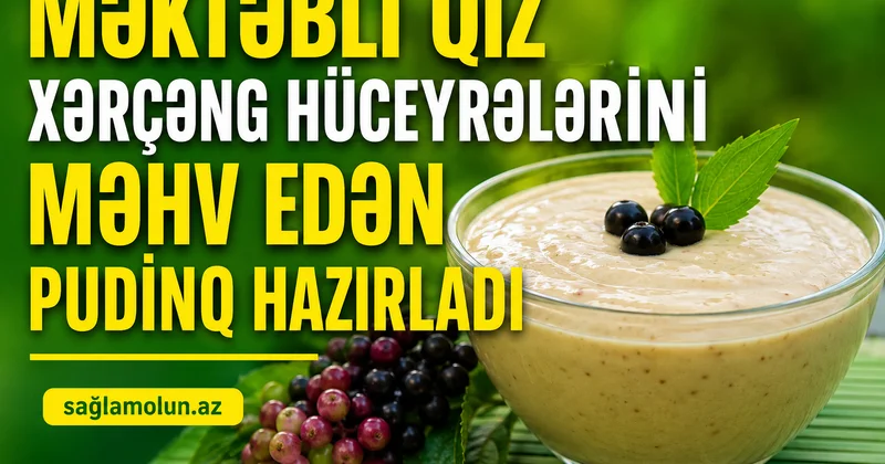 Elm aləminin yeni gündəmi Xərçəngi sağaldan pudinq
