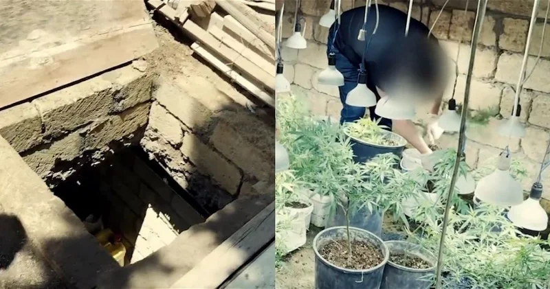 В Баку выявили подземный бункер, где выращивали коноплю ВИДЕО