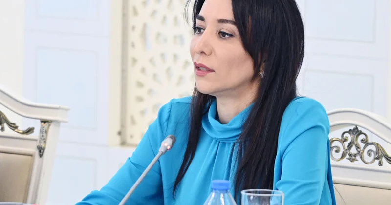 Ombudsman: Uşaqların rəqəmsal təhlükəsizliyi üçün nəzarət mexanizmləri gücləndirilməlidir
