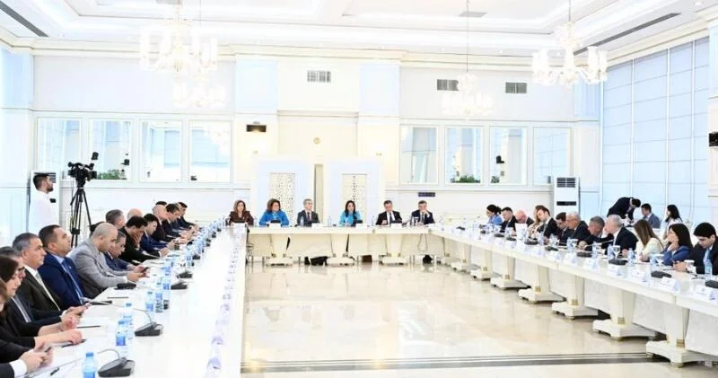 В Милли Меджлисе прошли совместное заседание комитетов и общественные слушания