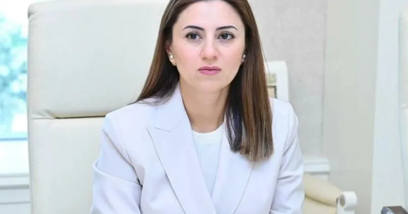 Deputat: Uşaqların internetdə müdafiəsi ilə bağlı dəyişikliklər cəmiyyətin sifarişidir