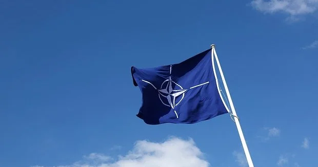 В Европе возмутились планами НАТО на Украине