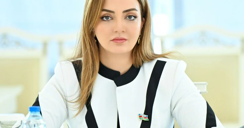 “Azərbaycanın yaratdığı reallıqlar Ermənistanda da...”