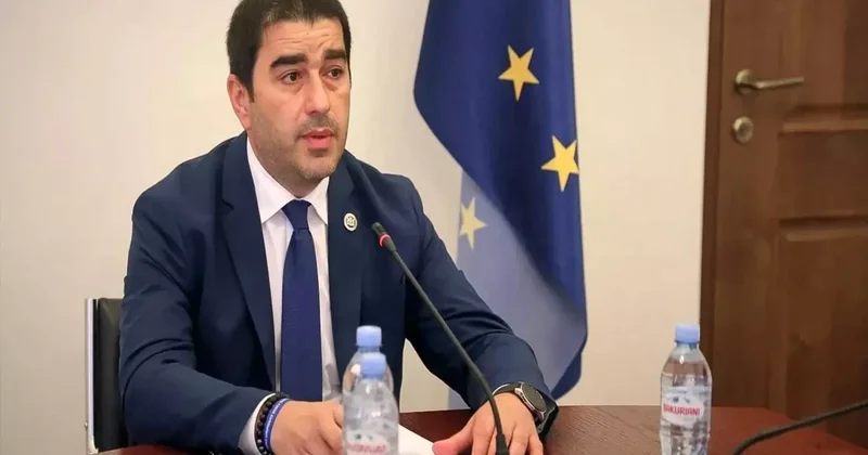 Gürcü spiker Aİ ni Ermənistanda müxalifətçilərin həbsinə reaksiya verməməkdə ittiham edib