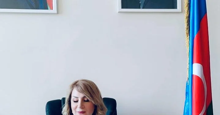 Ortaq tarixdən ortaq gələcəyə ŞƏRH