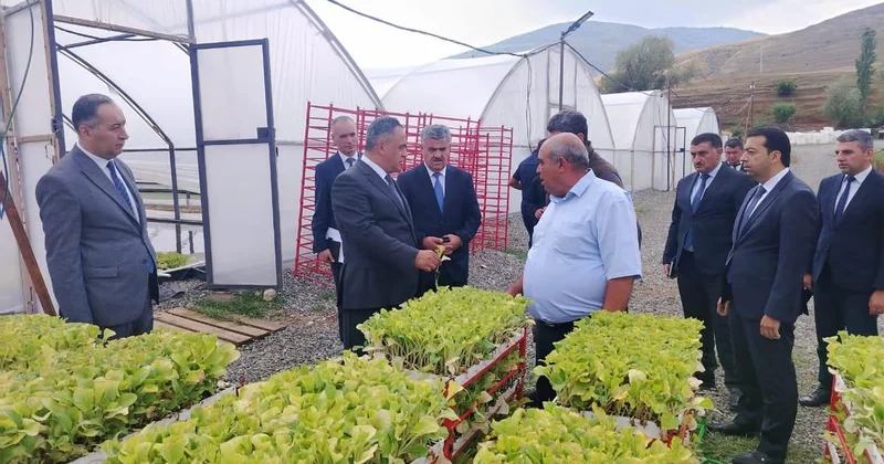Goranboy: müasir tütünçülük təsərrüfatı görmək istəyən Ağcakəndə gəlsin…