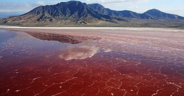 Heyvanları DAŞA ÇEVİRƏN göl Planetin ən qorxunc yerlərindən biri FOTOlar