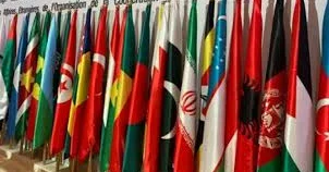 İslam dünyasının həmrəyliyi TƏHLİL