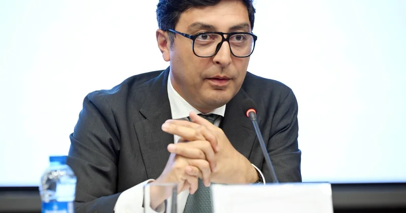 Fərid Qayıbov beynəlxalq yarışlarda uğurla çıxış etmiş idmançılarla görüşüb