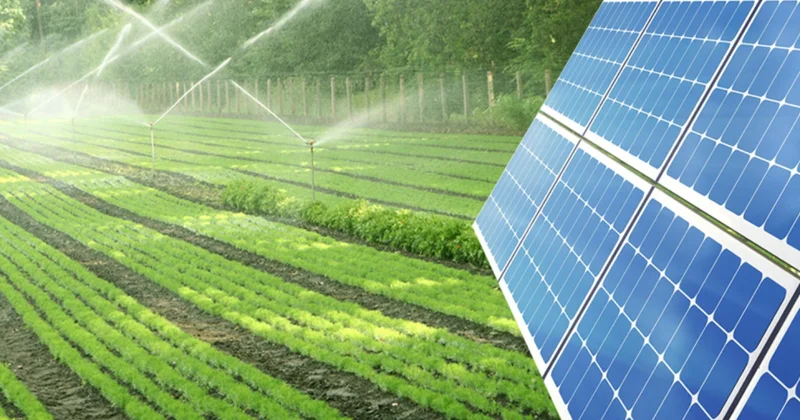 Ordubadda “ağıllı” kənd təsərrüfatı modeli tətbiq ediləcək