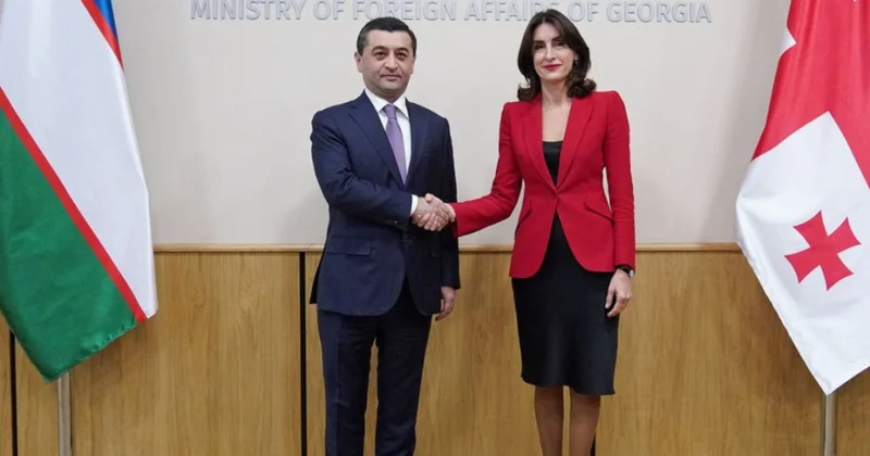 Gürcüstan və Özbəkistan XİN başçıları regional təhlükəsizlik məsələlərini müzakirə ediblər