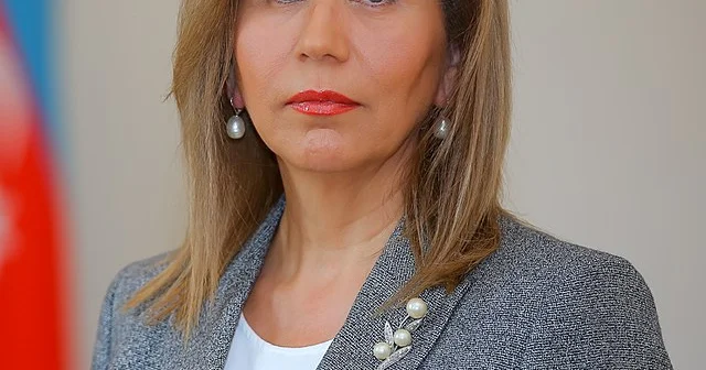Mətbuat sahəsində əldə olunan nailiyyətlər xüsusi əhəmiyyət kəsb edir Bahar Muradova