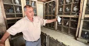 “Yaşama səbəbim bu quşlardır” Ürək dağlayan hekayə