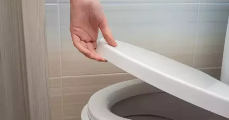 Sarı ləkəli unitazları qar kimi ağ edir 5 dəqiqəyə