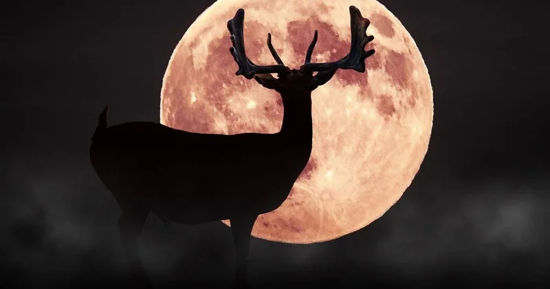 Maral Ay yaxın günlərdə səmada nadir astronomik hadisə müşahidə olunacaq