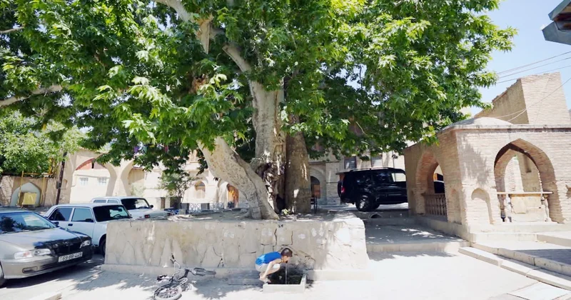 Ordubadda “mini parklar” salınacaq yaşıl şəhər konsepsiyası tətbiq olunur