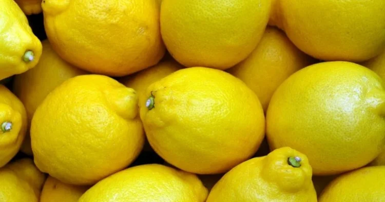 Лимоны и амбиции: что тормозит цитрусовый бум в Азербайджане?