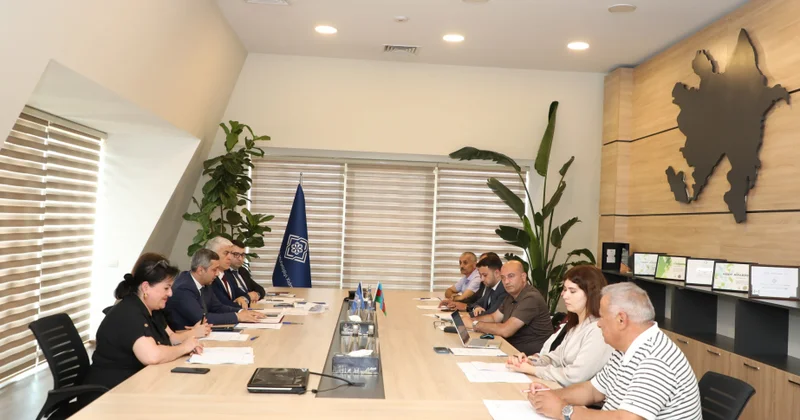17 milli standart layihəsinin təsdiq edilməsi məqsədilə qərar qəbul olunub