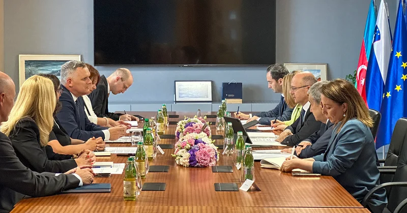 Energetika naziri Sloveniyada həmkarı nazir Bojan Kumer və enerji şirkətləri ilə müzakirələr aparıb