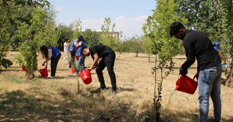 Naxçıvanda növbəti “SUVAR” aksiyası keçirilib