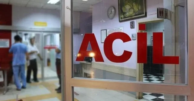 Arı sancan qadın həyatını İTİRDİ
