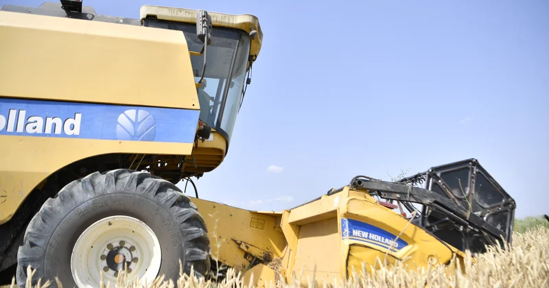 Taxıl sahələrindən 2 386 294 ton məhsul yığılıb