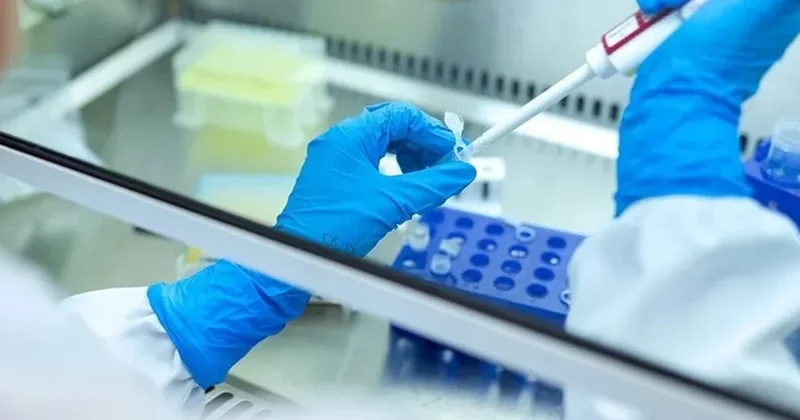 ÜST dən qorxudan proqnoz: Xərçəng xəstələrinin sayı 35 milyona çata bilər