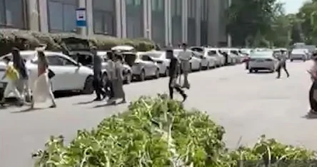 “28 Mall”ın yaxınlığında ağac aşdı VİDEO