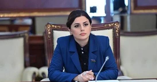 Deputat: Aİ üçün ən etibarlı tərəfdaşlardan biriyik