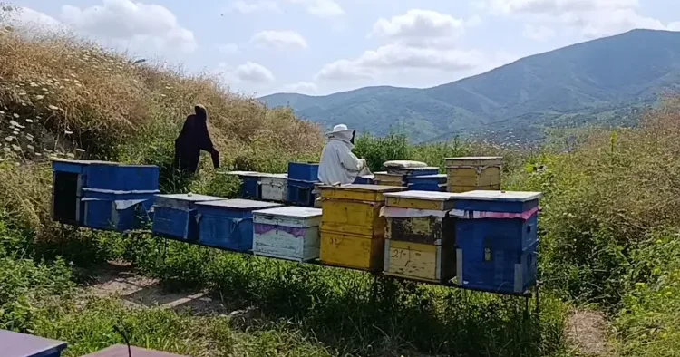 Doğma Xocalıda yenidən başlayan həyat: 70 yaşlı Əlövsət kişinin xoşbəxtlik hekayəsi FOTO