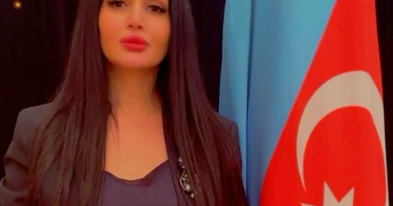 Cənubi Qafqazda sabitliyin Bakı Formulu ŞƏRH