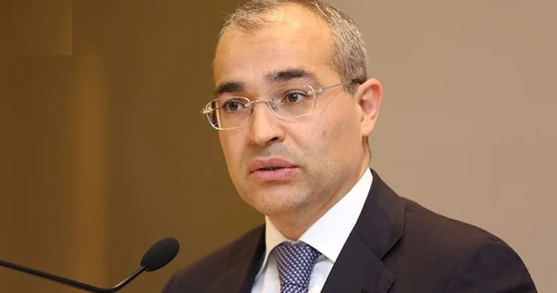 Mikayıl Cabbarov Komissiyanın həmsədri təyin edildi (SƏRƏNCAM)