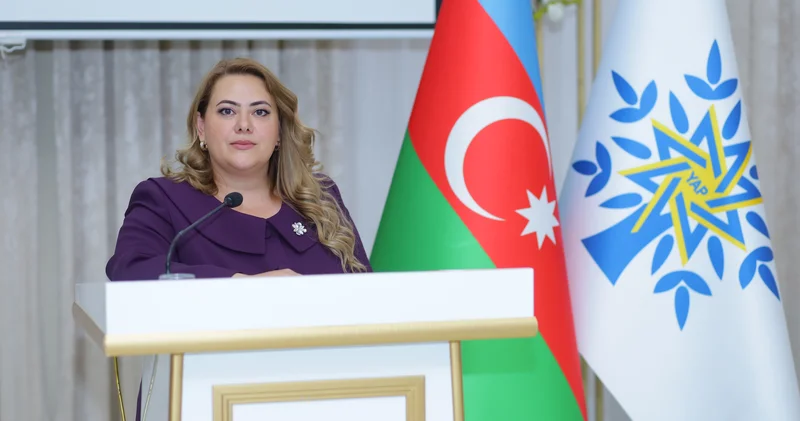 Azərbaycan Avropa İttifaqı: qarşılıqlı hörmət, praqmatik əməkdaşlıq və ortaq maraqlar ŞƏRH