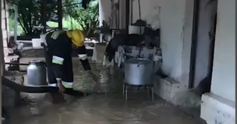 Затопило дома в Загатале, Балакене и Агстафе: МЧС принимает меры видео