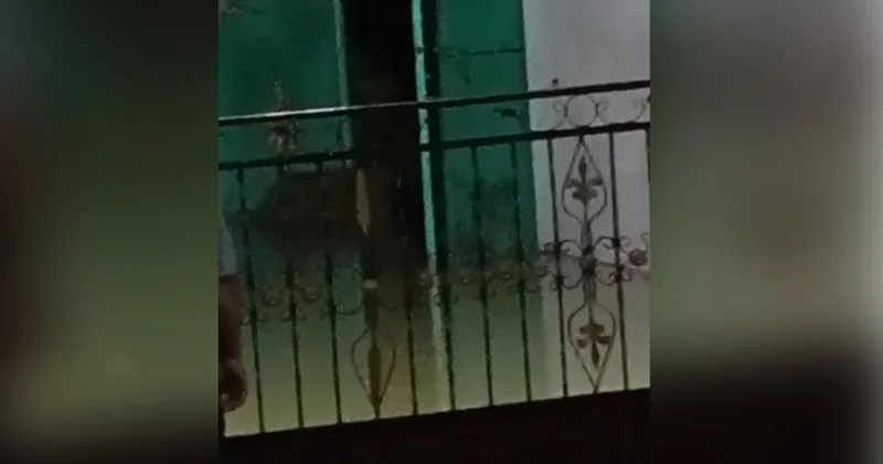 Yağış Ağstafada fəsadlar törətdi Video