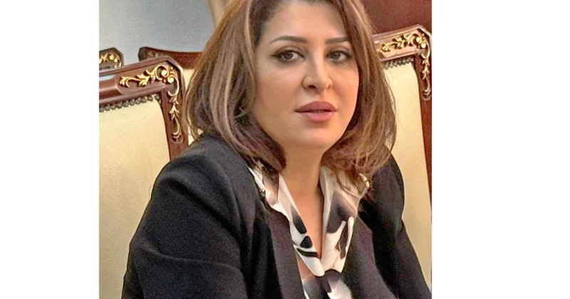 Müdrik və uzaqgörən siyasət, milli maraqların müdafiəsi ŞƏRH