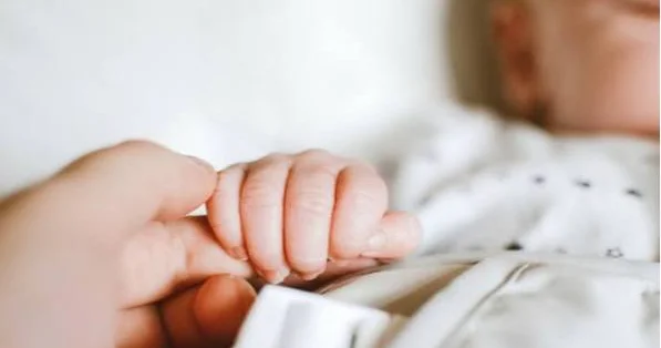 Doğumla ölümün bərabərləşəcəyini deyən alim: Milli Məclisə bizi çağırsınlar, deyək